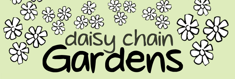 Daisy Chain Gardens gardening-services-in-yardley-wood-birmingham