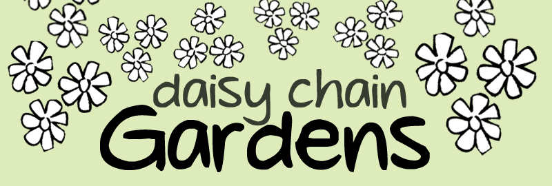 Daisy Chain Gardens 