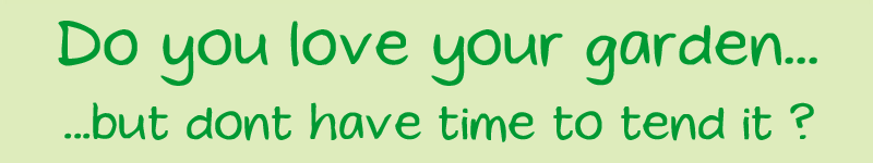 Daisy Chain Gardens - 